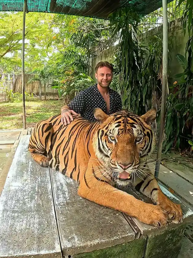 🐅 I’m a celebrity get me out of here! 🐅