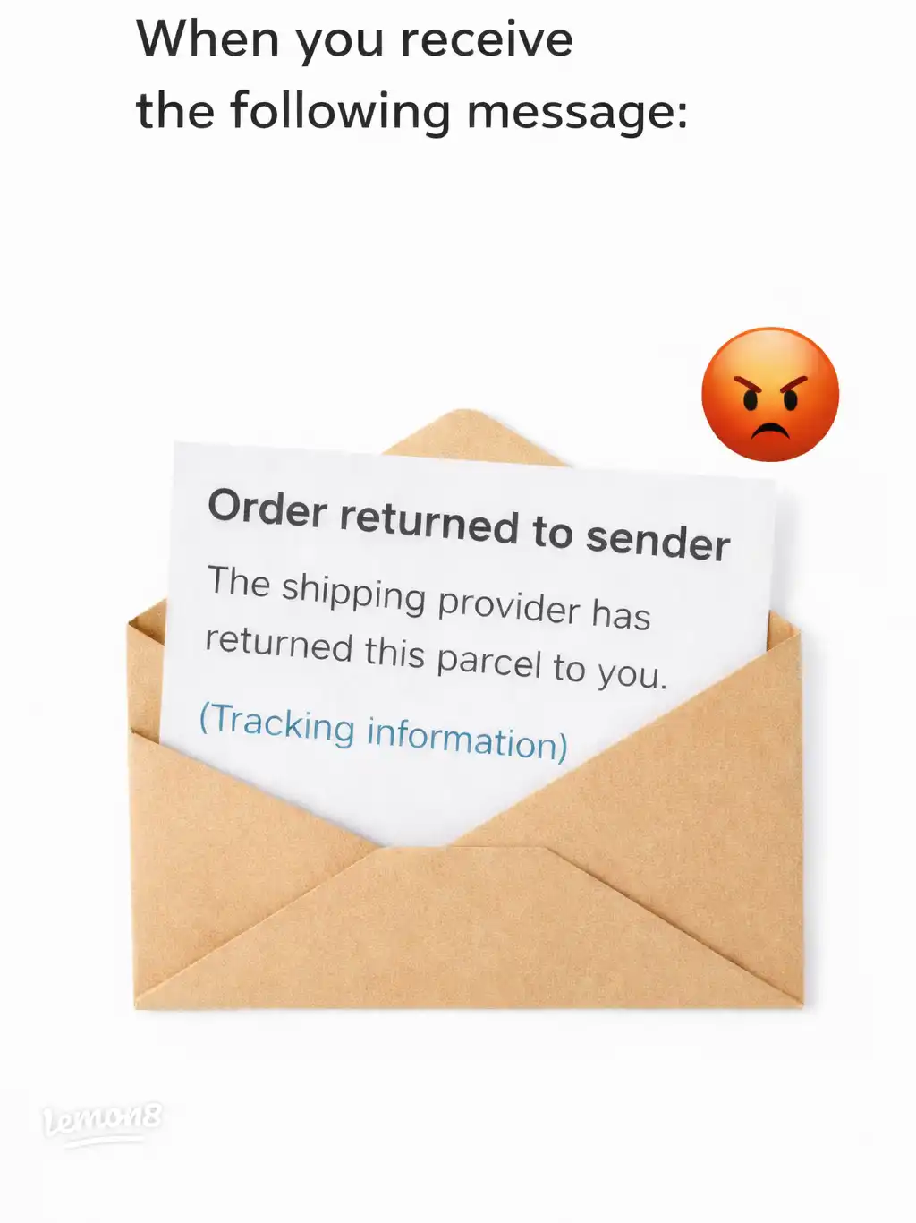 When a Vinted Parcel Comes Back… and Still Finds I's images(0)