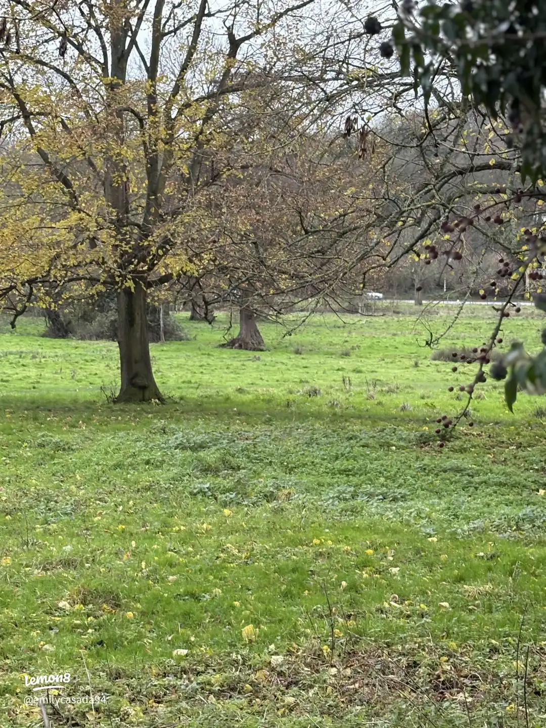 From one town to another 's images(5)