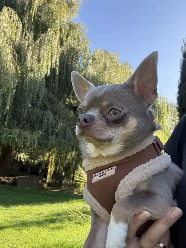 What a warm sunny October day..