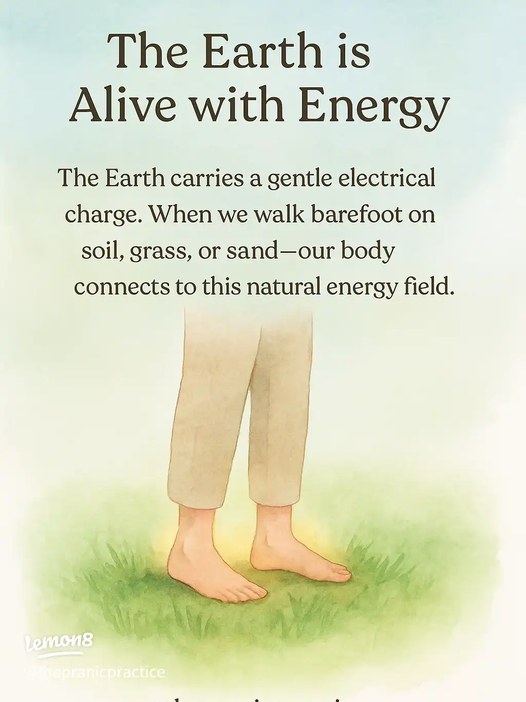 The daily Ground..'s images(1)